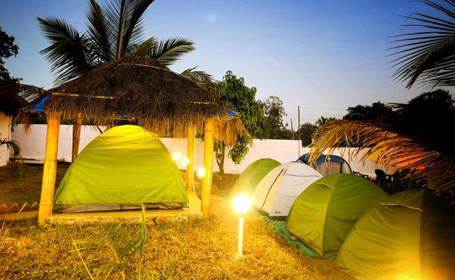 camp in jungle